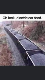 1000031982.jpg