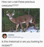 1000032056.jpg