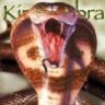 King cobra
